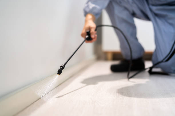 Licensed Mosquito Control service in North Scituate, MA - Show Me Pest Control
