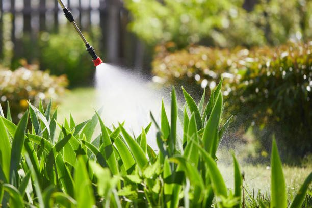 24/7 Emergency Mosquito Control experts in North Scituate, MA