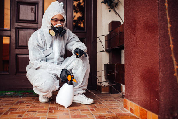 Reliable Mosquito Control contractor in North Scituate, MA by Show Me Pest Control