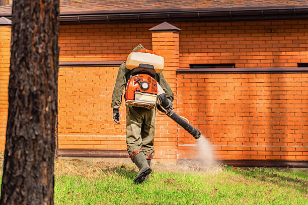 Top rated local Mosquito Control specialists in North Scituate, MA